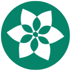 Day Services